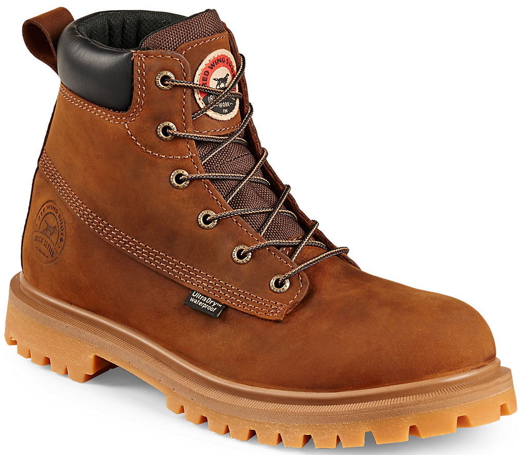 irish setter hopkins