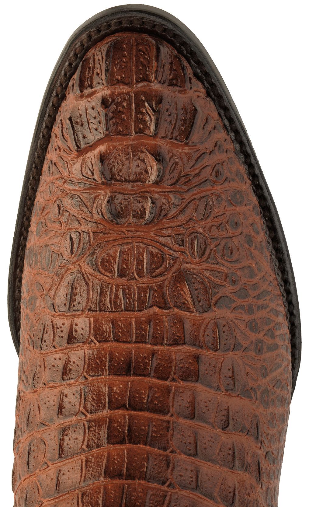 ferrini caiman croc print