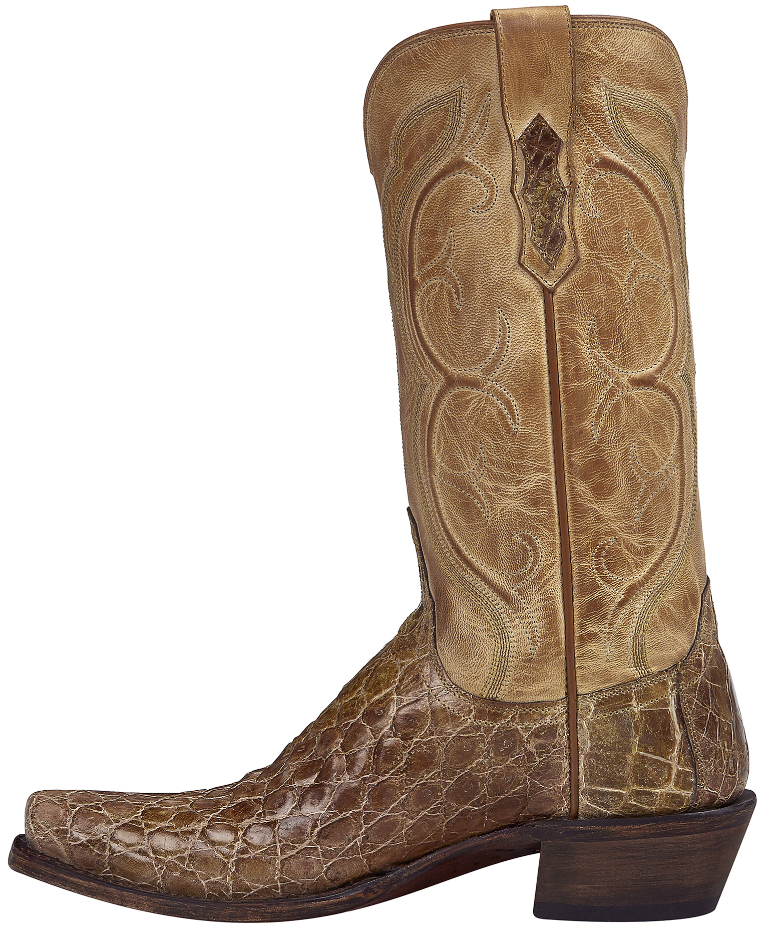 giant gator lucchese