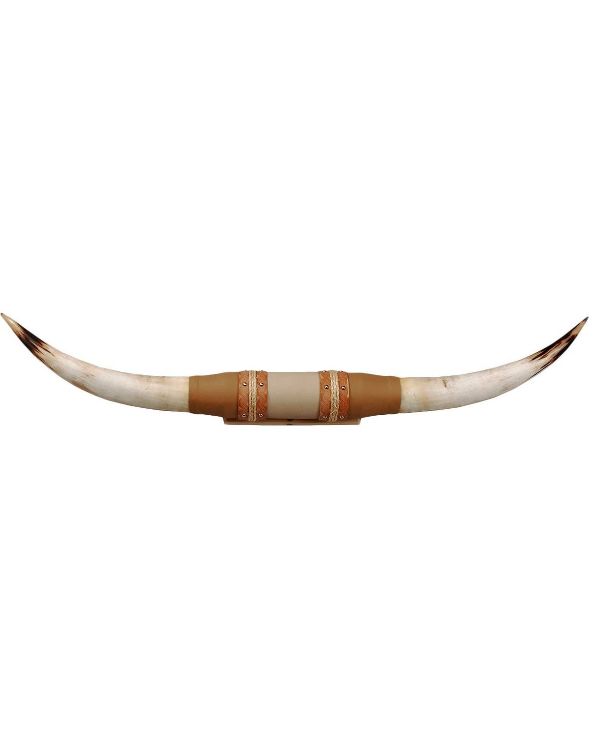 Authentic Large Steer Horns Sheplers