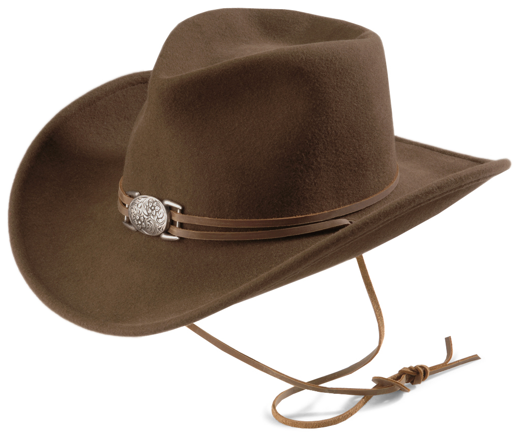 Juniper Brown Wool Felt Cowgirl Hat | Sheplers