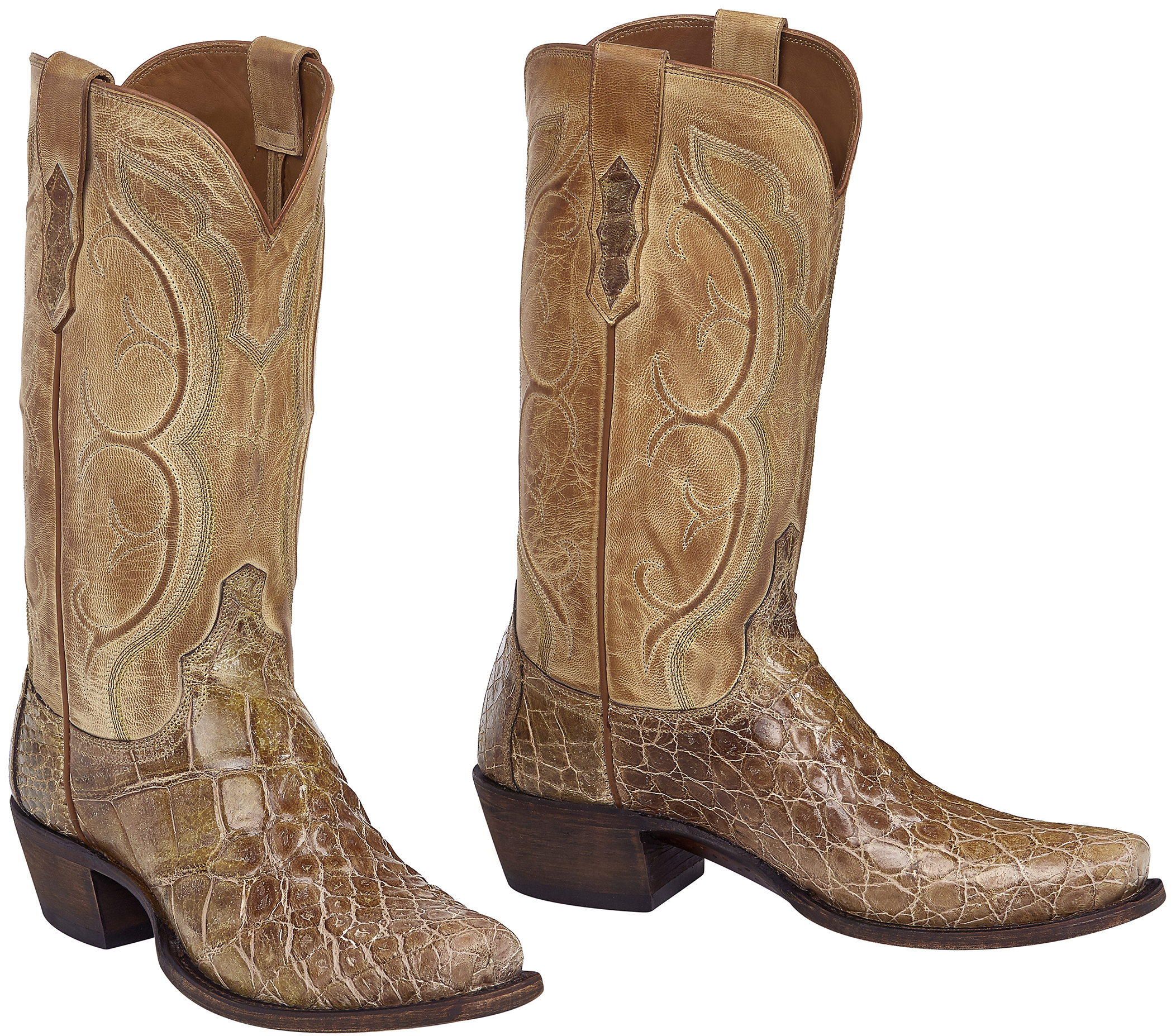 giant gator lucchese