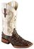 Ferrini Women's Hornback Caiman Print Western Boots - Broad Square Toe, Chocolate, hi-res