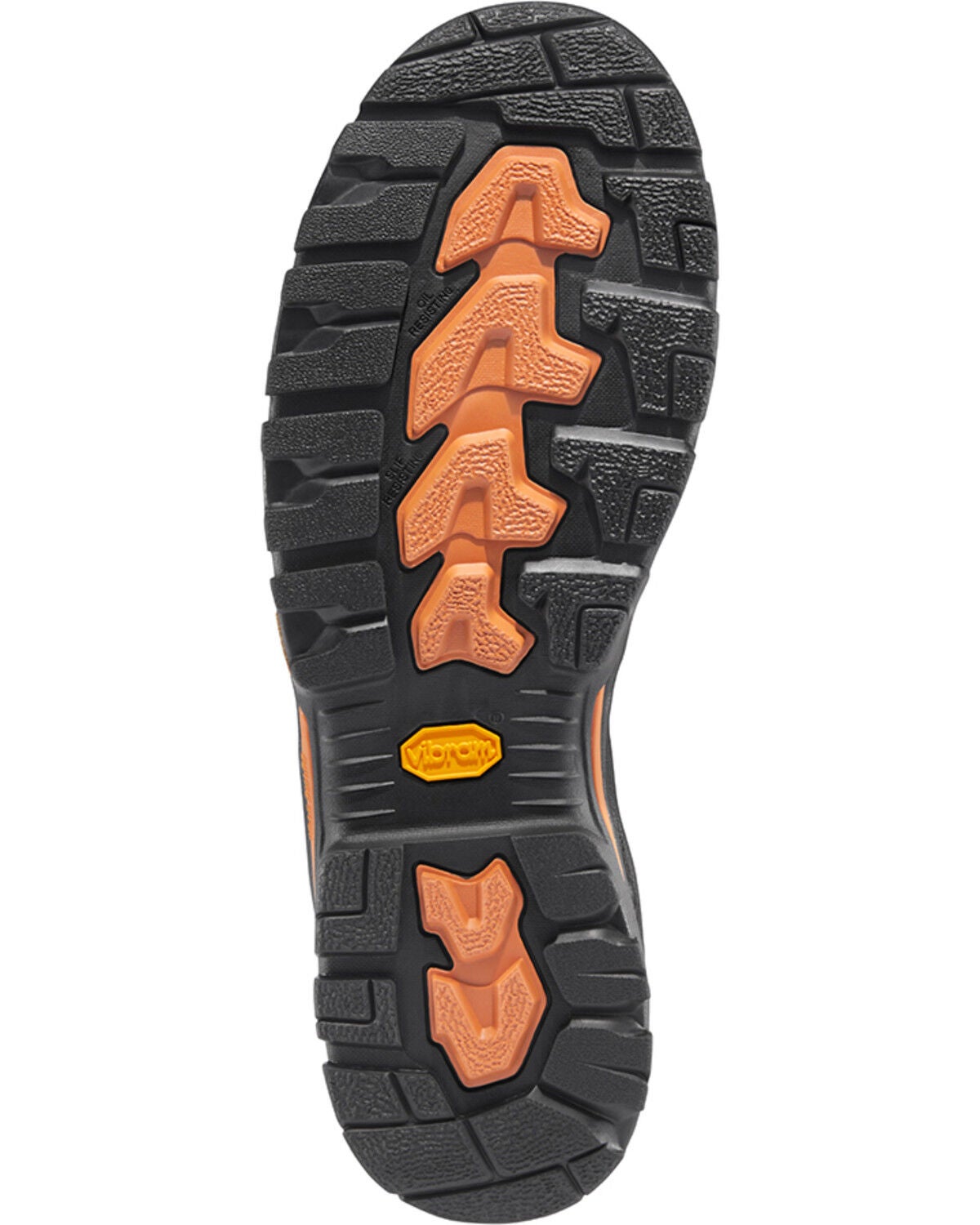 Danner Men\'s Vicious 6\