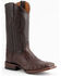 Ferrini Men's Caiman Belly Western Boots - Broad Square Toe, Chocolate, hi-res