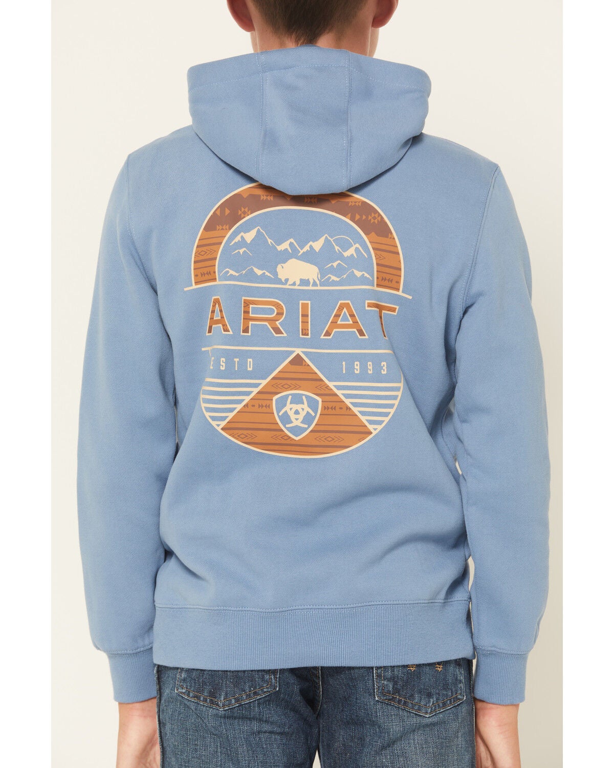 Image #4 - Ariat Boys' Logo Valley Graphic Hooded Sweatshirt, Teal, hi-res
