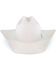 Resistol Men's Silverbelly 20X Beaver Felt Tarrant Cowboy Hat, Silver Belly, hi-res