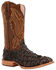 Image #1 - Durango Men's Exotic Pirarucu Skin Western Boots - Broad Square Toe, Dark Brown, hi-res