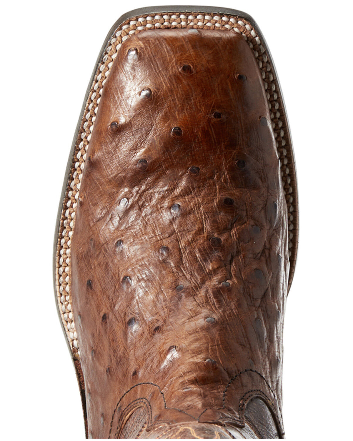 ariat ostrich boots