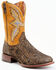 Dan Post Men's Exotic Huachinago Fish Western Boots - Broad Square Toe, Brown, hi-res