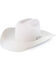 Resistol Men's Silverbelly 20X Beaver Felt Tarrant Cowboy Hat, Silver Belly, hi-res