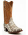 Image #1 - Dan Post Men's 12" Exotic Python Western Boots - Snip Toe , Brown, hi-res