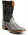 Image #1 - Cody James Men's Exotic Python Nevado Western Boots - Broad Square Toe, Black, hi-res