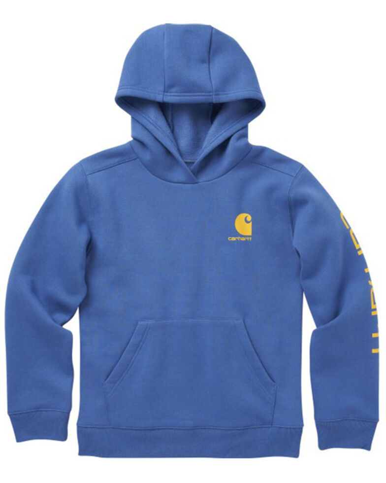 Carhartt Youth Boys' Long Sleeve Hooded Graphic Pullover Sweatshirt , Blue, hi-res