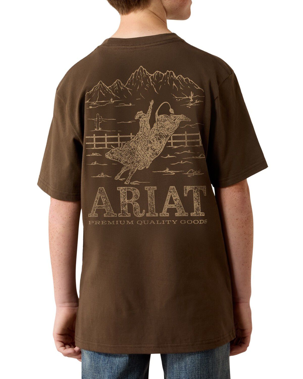 Image #1 - Ariat Boys' Rocky Bull Short Sleeve Graphic T-Shirt, Brown, hi-res
