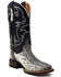 Dan Post Women's Exotic Karung Snake Western Boot - Broad Square Toe , Black, hi-res
