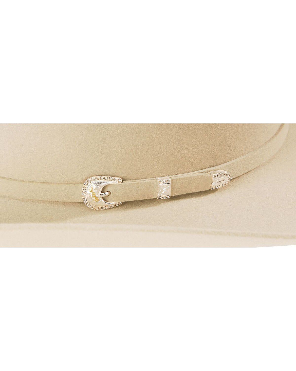 stetson 10x silverbelly