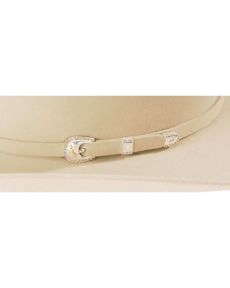 stetson 10x silverbelly
