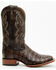 Image #2 - Cody James Men's Exotic Caiman Tail Skin Western Boots - Broad Square Toe, Dark Brown, hi-res
