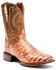 Dan Post Men's Tan Caiman Belly Western Boots - Broad Square Toe , Tan, hi-res