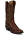 Image #1 - Tony Lama Men's Chasi Exotic Caiman Western Boots - Broad Square Toe , Cognac, hi-res