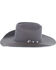 Resistol Men's 20X Tarrant Beaver Felt Western Hat , Charcoal, hi-res