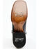 Dan Post Women's Back Cut Python Exotic Western Boot - Broad Square Toe, Black, hi-res