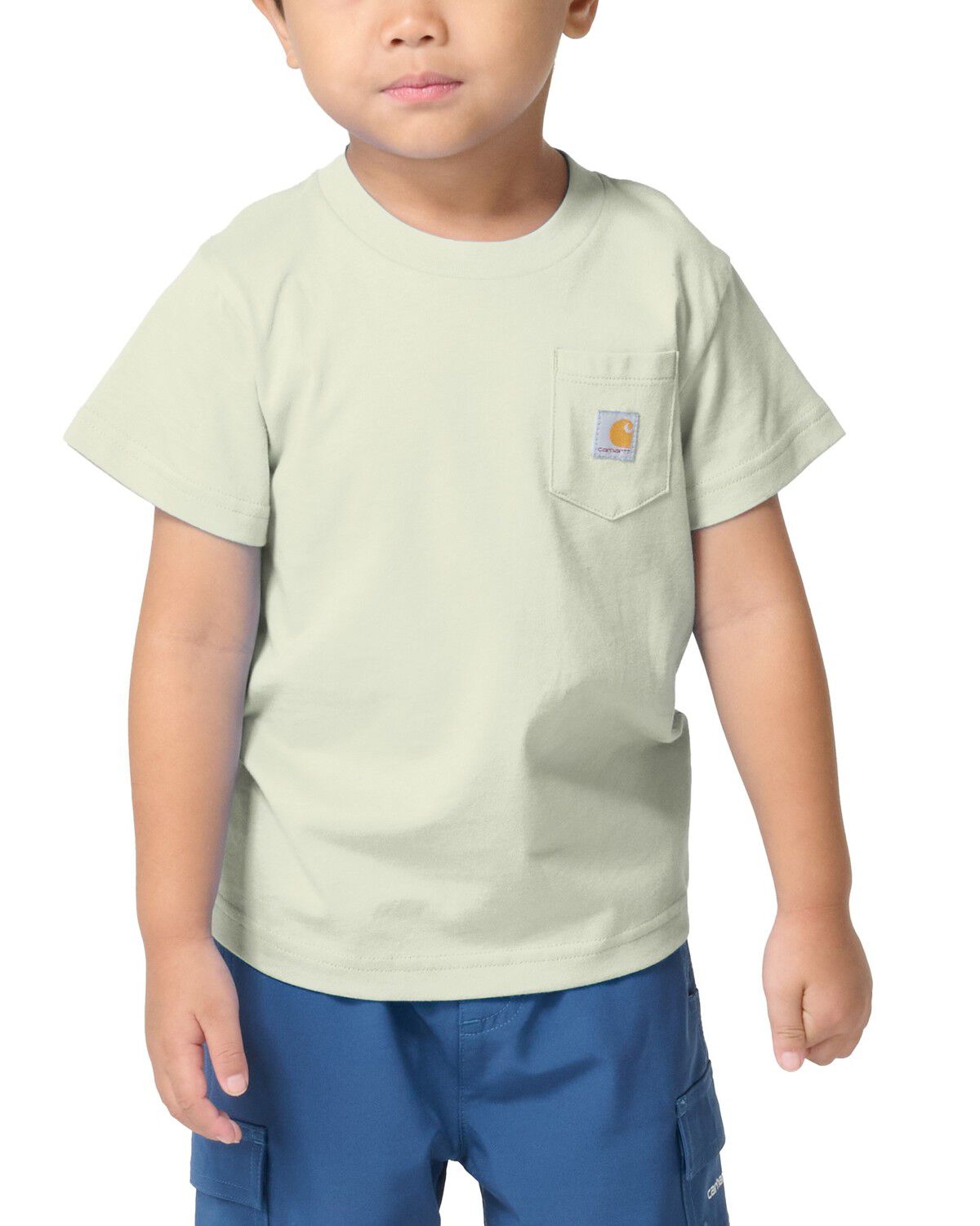 Carhartt Toddler Boys' Logo Pocket Short Sleeve T-Shirt, Light Green, hi-res