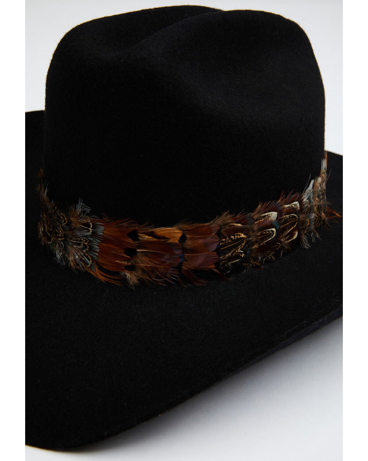 Image #1 - Austin Accent Feather Pheasant Hat Band, Natural, hi-res