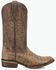 Image #2 - Circle G Men's Exotic Caiman Western Boots - Round Toe, Brown, hi-res