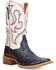 Image #1 - Dan Post Women's Penny Exotic Python Western Boots - Broad Square Toe, Blue, hi-res