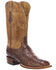 Lucchese Men's Cliff Exotic Western Boots - Square Toe, Dark Brown, hi-res