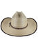 Cody James Men's Brown Trimmed Palm Leaf Straw Cowboy Hat, Natural, hi-res