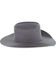Resistol Men's 20X Tarrant Beaver Felt Western Hat , Charcoal, hi-res