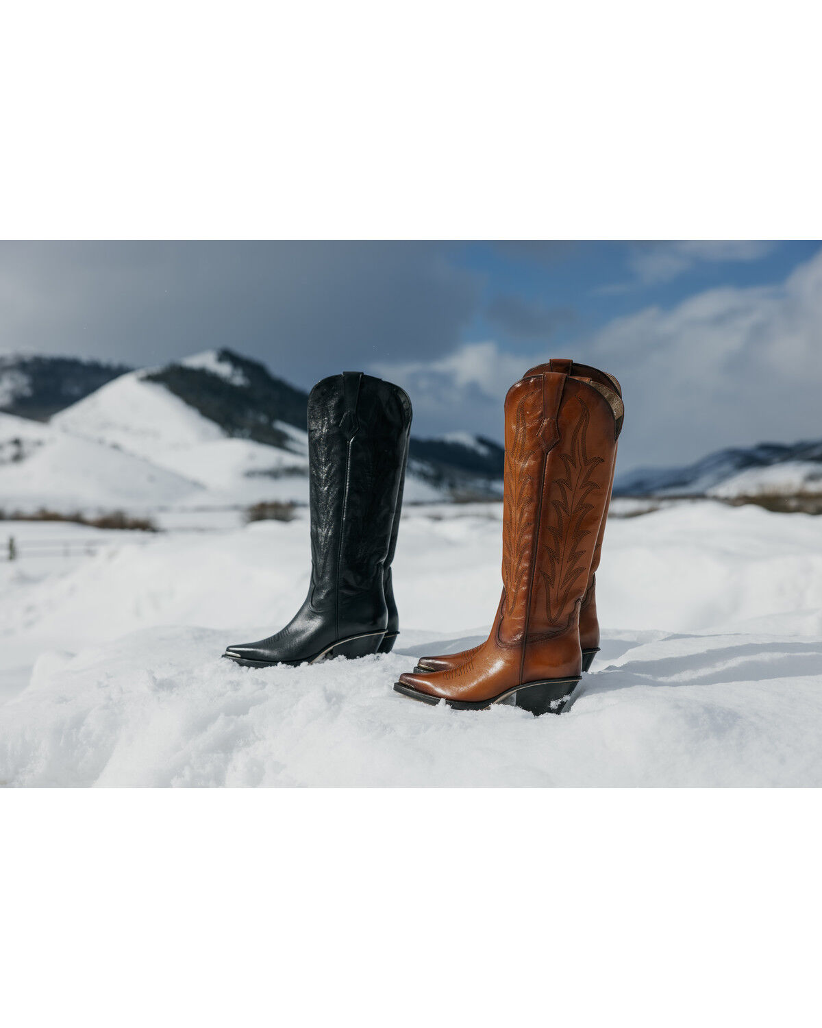 Image #1 - Wonderwest Women's Estilo Tall Western Boots - Snip Toe, Brown, hi-res