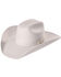 Bullhide Men's Legacy 8X Fur Blend Cowboy Hat, Silverbelly, hi-res