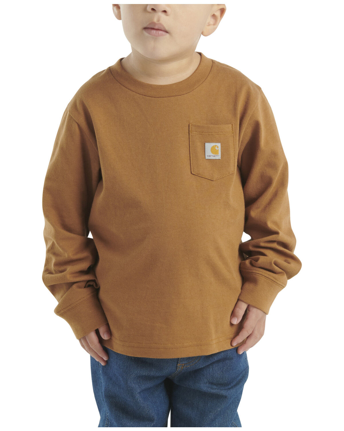 Image #3 - Carhartt Toddler Boys' Backpack Logo Long Sleeve Graphic Shirt, Brown, hi-res