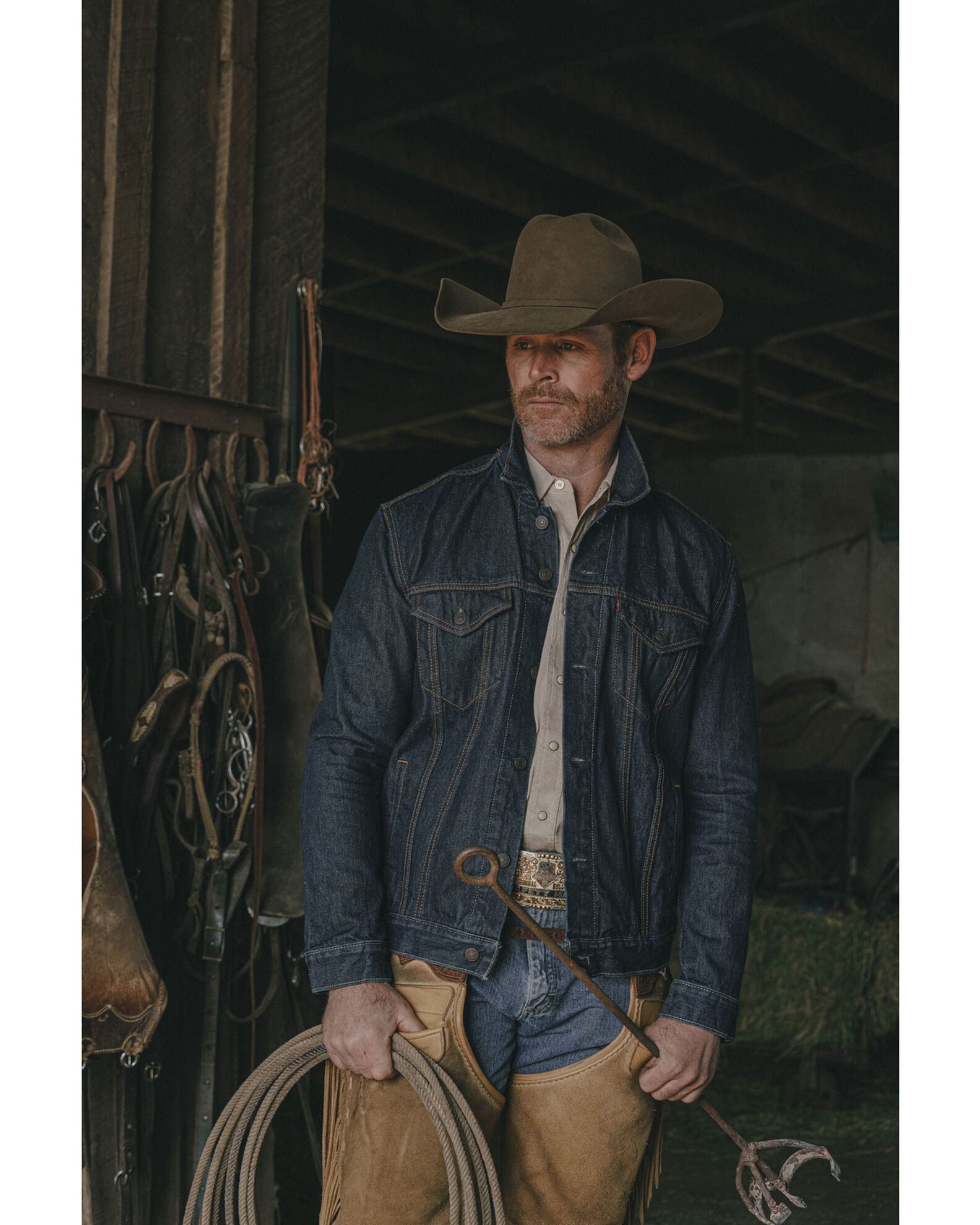 Levi s Men s Trucker Jacket Sheplers
