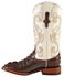 Ferrini Women's Hornback Caiman Print Western Boots - Broad Square Toe, Chocolate, hi-res