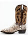 Dan Post Men's Natural Back Cut Python Exotic Western Boots - Medium Toe , Multi, hi-res