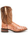 Dan Post Men's Tan Caiman Belly Western Boots - Broad Square Toe , Tan, hi-res
