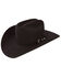 Resistol Men's 6X City Limits George Strait Black Fur Felt Cowboy Hat, Black, hi-res