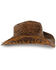 Shyanne Women's Embellished Brim Straw Hat, Brown, hi-res