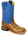 HorsePower Boys' Royal Sinsation Western Boots - Broad Square Toe, Tan, hi-res