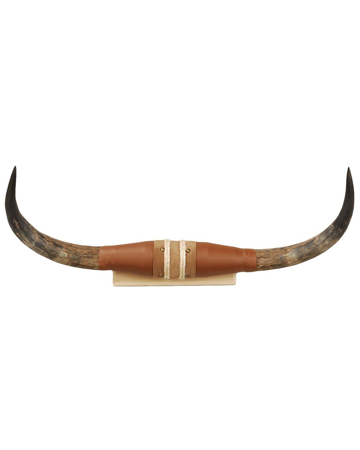Image #1 - Authentic Small Steer Horns, Tan, hi-res