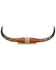 Image #1 - Authentic Small Steer Horns, Tan, hi-res
