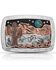 Image #1 - Montana Silversmiths Women's Desert Moon Turquoise Cactus Buckle, Turquoise, hi-res