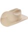 stetson 10x silverbelly