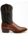 Image #2 - Dan Post Men's Exotic Caiman 12" Western Boots - Medium Toe, Brown, hi-res