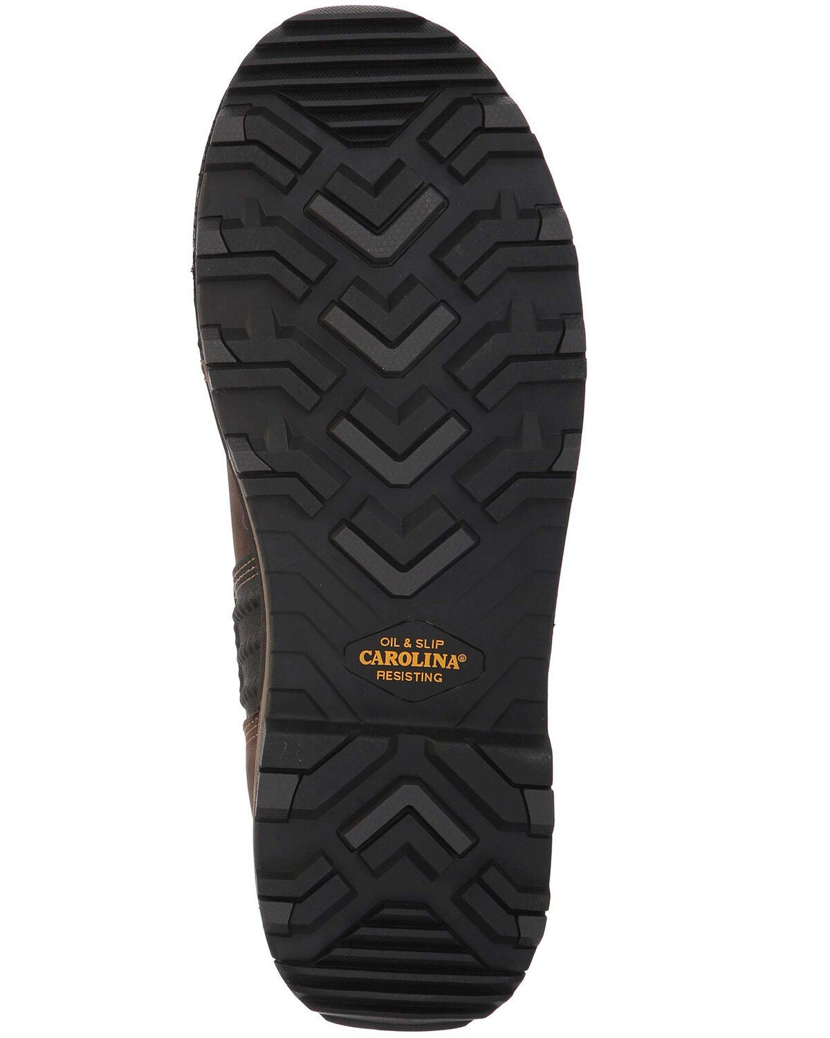 carolina maximus 2.0